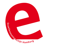 Exzellenz Logo der Univerität Hamburg